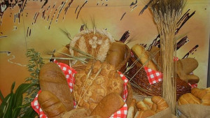 Зърнена криза по време на избори вещаят земеделци