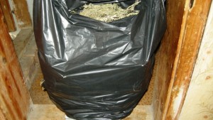 Намериха 7 кг канабис разстлан да съхне в Айдемир