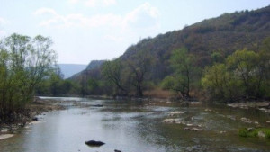 Почистват коритото на р Росица