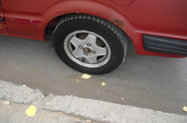 Пиян мушка гуми