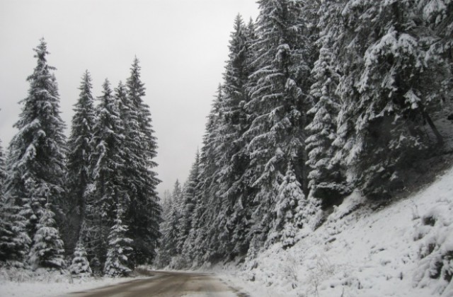 Снегонавяването е основният проблем при почистване на пътищата през зимата