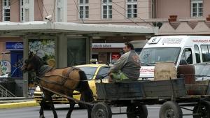 Паяци прибраха две каруци