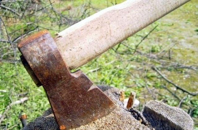Дядо вади брадва на полицаи