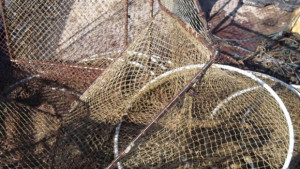 Рибар остана без въдиците си