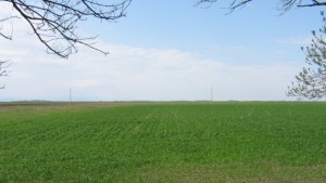 Погват нередовните арендатори