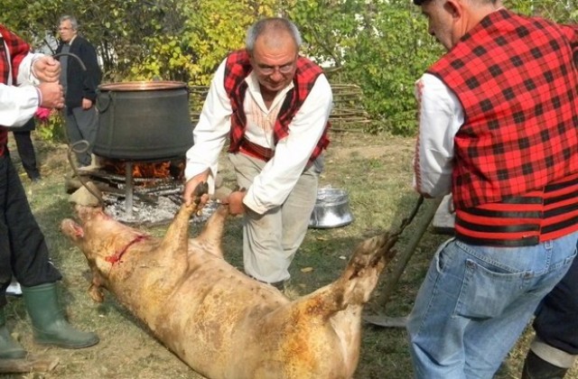 130-килограмово прасе гътнаха в Елена за първия празник на еленския бут