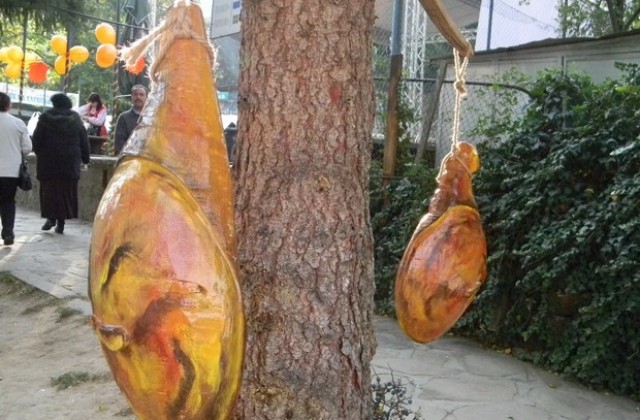 130-килограмово прасе за празника на еленския бут в Елена