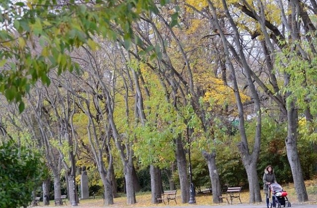 Температурите през ноември ще паднат до минус 9 градуса