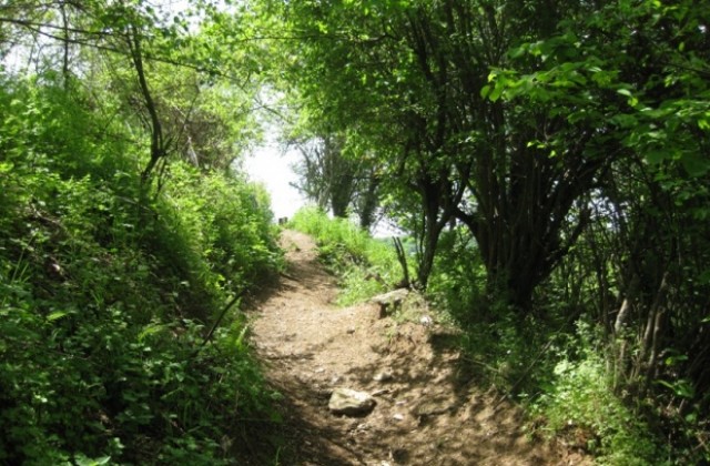 7 821 000 лв. ще преобразяват Природен парк Странджа