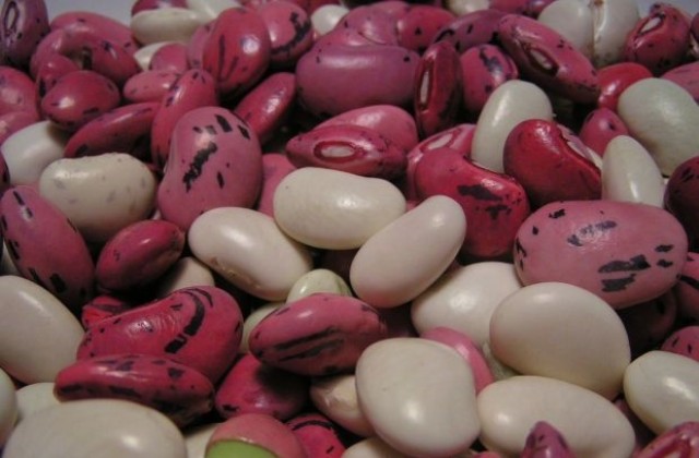 Откриха нови 22 тона негоден боб