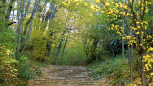 Валежите спират