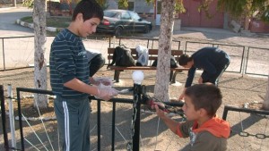 Ученици почистиха паметника на опълченците в с Косталево