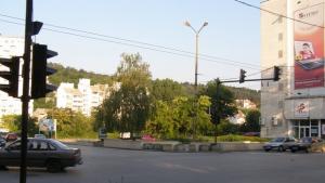 Декоративно оформяне на дърветата