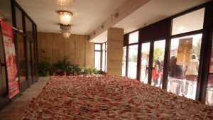 Севлиевският тиквеник достигна 233 метра