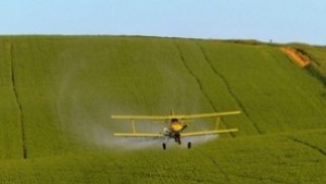 Започва ваксинацията срещу бяс при дивите хищници