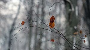 Значителна облачност идва застудяване