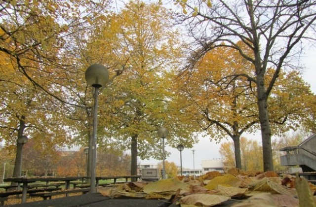 Облачно, с превалявания