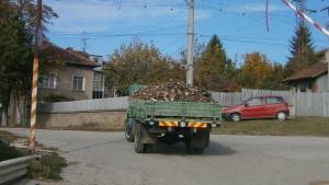 Прибраха ЗиЛ заради незаконна сеч
