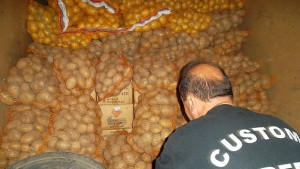 БАБХ върна 40 тона картофи от Полша