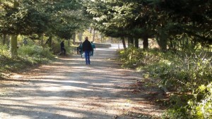 Съветници от ГЕРБ организират почистване около паметника на Хан Аспарух
