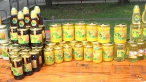 Организират фестивал на меда и пчелните продукти