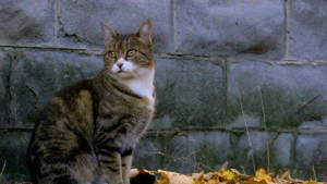 Слънчево и топло