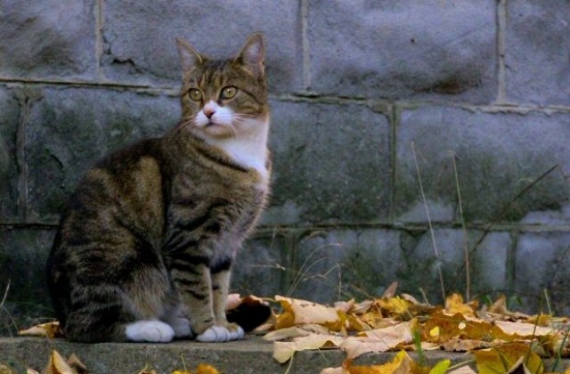 Слънчево и топло