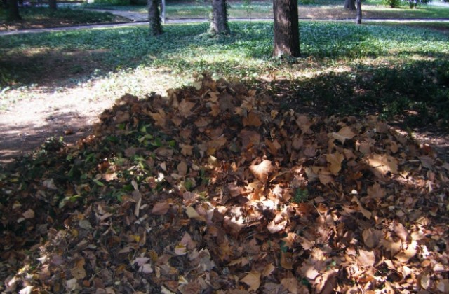 Топло за ноември