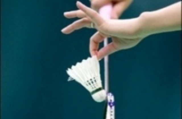 ОУ „Св.Климент Охридски с. Тишевица - най-добри по бадминтон