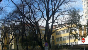 Дни на Славейков в Стара Загора