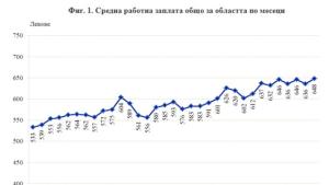 НСИ отчете 10 ръст на средната заплата през лятото в