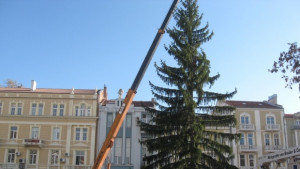 7метрова изкуствена елха ще краси Пловдив за Коледа