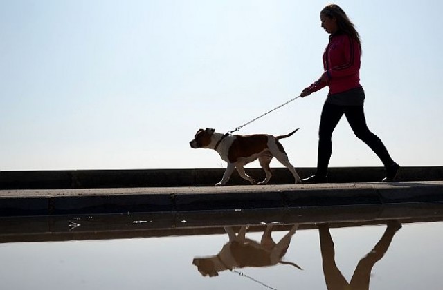 Кой е ключът към дългия живот