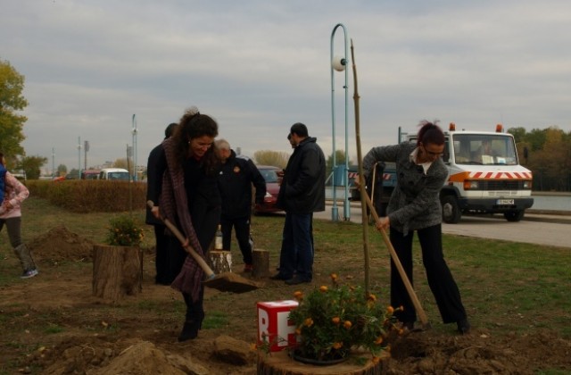 Дарик създава „Градина на бъдещето” на Гребната в Пловдив