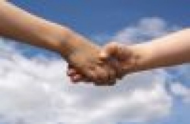 Асеновград търси помощ за Мишо