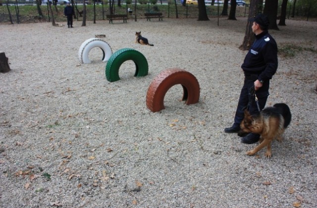 Местят тракийската коледна елха пред новата църква