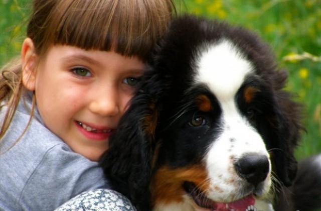 Уникална терапия с кучета за деца показват на форум в Пловдив