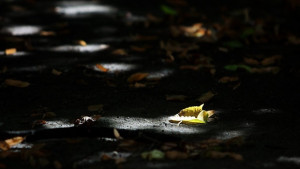 Слънце и облаци