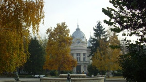 Показват филма На нож в библиотека