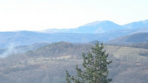 Над 130 участници премериха сили за купата на ПП Българка