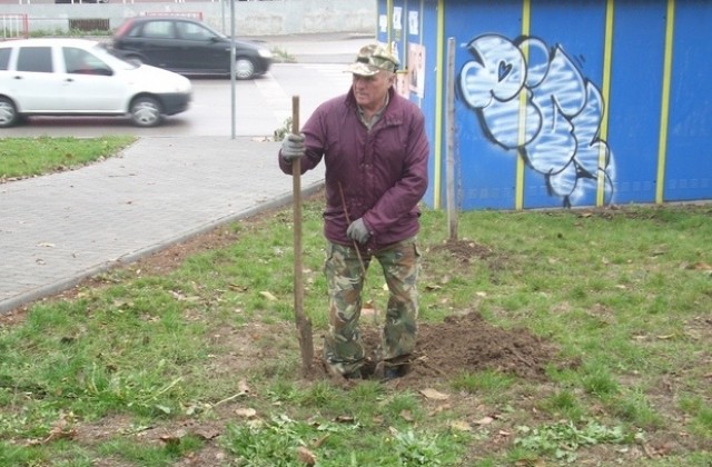 Фирма дари 250 дръвчета за парк Руски гробища