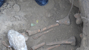 Скелет на средновековен грешник откриха в Лом