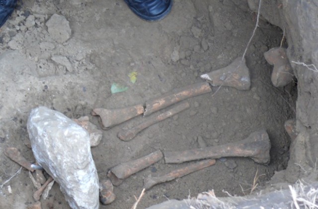 Скелет на средновековен грешник откриха в Лом