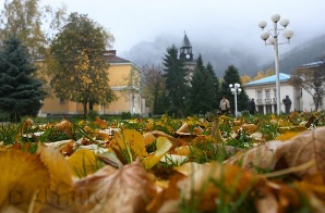 Нова кампания Осиновете врачанско семейство