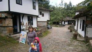 Улесняването на достъпа на камиони в Боженци временно и заради