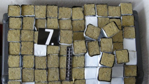 Антимафиоти откриха оранжерия за канабис