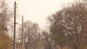 Зеленика остава без улични имена умуват за имена във всички