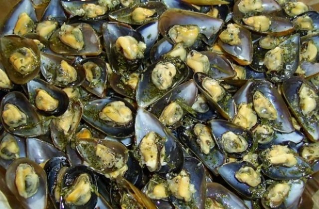 Шефове на мидени ферми и експерти нищят проблемите във Варна