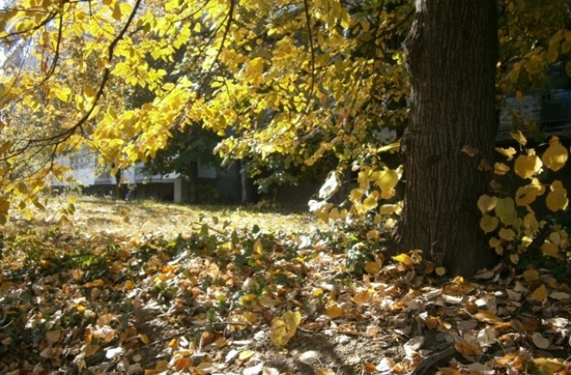 Разкъсана облачност