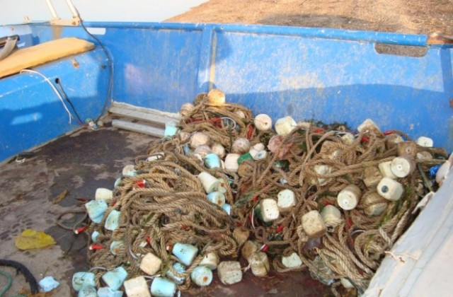 Глобиха търговец, продавал маломерна щука